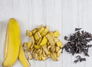 Banana Peel Fertilizer: The Top 7 Advantages for Your Garden Banana Peel Fertilizer