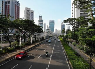 Driving Green: How to Obtain a Car and Stay Eco-Friendly Drive Green