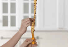 Best Fly Traps: 3 Types of Fly Traps Keeping Your Space Insect-Free Fly Traps