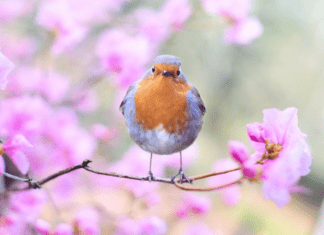 How to Keep Your Front Yard Looking Stellar Year-Round Front Yard
