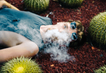 Can Quitting Smoking Be Beneficial for the Health of Your Indoor Garden? Smoking in Garden