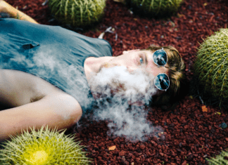 Can Quitting Smoking Be Beneficial for the Health of Your Indoor Garden? Smoking in Garden