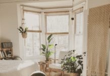 How to Garden if You Live in a Dorm How to Garden if You Live in a Dorm