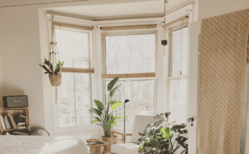 How to Garden if You Live in a Dorm How to Garden if You Live in a Dorm