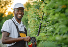 Expertise Matters: How Professional Commercial Tree Care Services Can Maximize the Lifespan of Your Trees Professional Tree Care Services