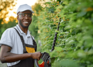 Expertise Matters: How Professional Commercial Tree Care Services Can Maximize the Lifespan of Your Trees Professional Tree Care Services