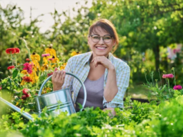 The 5 Benefits & Value of Gardening as a Hobby Gardening as a Hobby