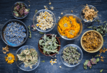 8 Herbs That Naturally Purify Your Home Herbs That Naturally Purify Your Home