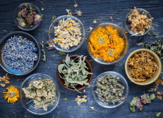 8 Herbs That Naturally Purify Your Home Herbs That Naturally Purify Your Home