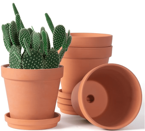 Terra Cotta Plant Pots