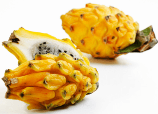 Exploring the Unique Benefits of Yellow Dragon Fruit: A Nutrient-Rich Delight Yellow Dragon Fruit