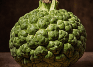 Unlocking the Secrets of Cherimoya: Grow Your Own “Ice Cream Fruit” Cherimoya