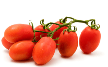 When to Pick Roma Tomatoes for Optimal Flavor roma tomatoes