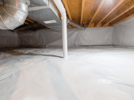 Crawl Space Dehumidifier Essentials: Keep Your Home Dry Crawl Space Dehumidifier Essentials