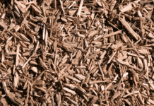 Cedar Mulch: The Gardener’s Secret to a Thriving, Beautiful Landscape Cedar Mulch