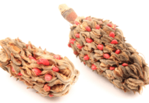 Understanding Magnolia Seeds: Growth and Care Magnolia seeds