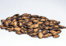 Growing Organic Seeded Watermelon: A Guide to Cultivating Nature’s Sweet Treat Organic Seeded Watermelon