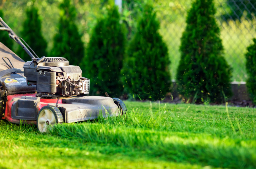push mowers push mowers