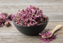 Benefits and Uses of Dried Coneflower Dried coneflower