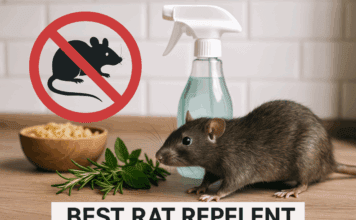 Expert’s Guide to the Best Rat Repellents best rat repellent