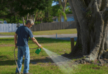 Spruce Weed Killer: Effective Lawn Solutions Spruce Weed Killer
