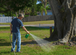 Spruce Weed Killer: Effective Lawn Solutions Spruce Weed Killer
