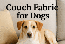Couch Fabric for Dogs: 5 Pet-Proof Materials Every Dog Owner Swears By Couch Fabric for Dogs