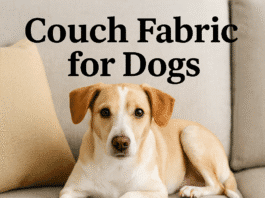 Best Couch Fabric for Dogs: Microfiber, Leather, Performance Fabric and Slipcovers Couch Fabric for Dogs