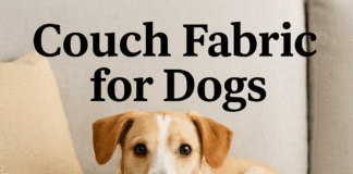 Best Couch Fabric for Dogs: Microfiber, Leather, Performance Fabric and Slipcovers Couch Fabric for Dogs