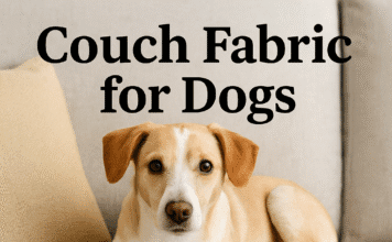 Best Couch Fabric for Dogs: Microfiber, Leather, Performance Fabric and Slipcovers Couch Fabric for Dogs
