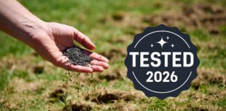 Best Grass Seed for Overseeding 2026: I Tested the Top Mixes A close-up photograph of a hand scattering premium grass seed into aeration holes on a spring lawn, with a graphic badge labeled "TESTED 2026". This image represents the article title 'Best Grass Seed for Overseeding 2026
