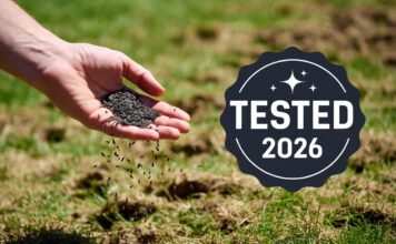 Best Grass Seed for Overseeding 2026: I Tested the Top Mixes A close-up photograph of a hand scattering premium grass seed into aeration holes on a spring lawn, with a graphic badge labeled "TESTED 2026". This image represents the article title 'Best Grass Seed for Overseeding 2026