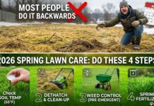 2026 Spring Lawn Care: Do These 4 Steps in This Exact Order (Most People Do It Backwards) Correct 4-step spring lawn care schedule compared to the wrong way of guessing by the calendar.