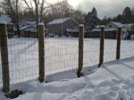 Frost Fence Cost 2026: How Much Does a Chain-Link Fence Really Cost? A newly installed frost fence with deep concrete footings in a snowy backyard.