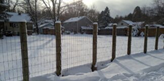 Frost Fence Cost 2026: How Much Does a Chain-Link Fence Really Cost? A newly installed frost fence with deep concrete footings in a snowy backyard.