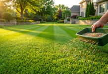 Best Fertilizer for Bermuda Grass 2026: The Ultimate Pro Guide Vibrant green Bermuda grass lawn with professional fertilizer application.