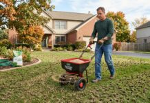 Best Grass Seed (2026): A Landscaper Tests the Top Brands A homeowner using a broadcast spreader to apply premium grass seed onto a freshly aerated lawn