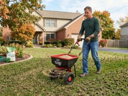 Best Grass Seed (2026): A Landscaper Tests the Top Brands A homeowner using a broadcast spreader to apply premium grass seed onto a freshly aerated lawn