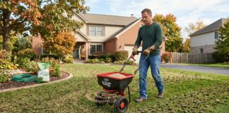 Best Grass Seed (2026): A Landscaper Tests the Top Brands A homeowner using a broadcast spreader to apply premium grass seed onto a freshly aerated lawn