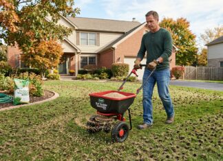 Best Grass Seed (2026): A Landscaper Tests the Top Brands A homeowner using a broadcast spreader to apply premium grass seed onto a freshly aerated lawn
