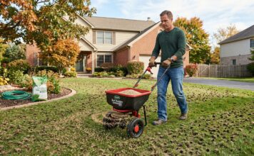 Best Grass Seed (2026): A Landscaper Tests the Top Brands A homeowner using a broadcast spreader to apply premium grass seed onto a freshly aerated lawn