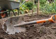 Best Round Point Shovel: Uses, Types & Buying Guide Round point shovel with a steel blade and fiberglass handle in garden soil