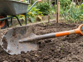 Best Round Point Shovel: Uses, Types & Buying Guide Round point shovel with a steel blade and fiberglass handle in garden soil