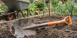 Best Round Point Shovel: Uses, Types & Buying Guide Round point shovel with a steel blade and fiberglass handle in garden soil