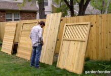 Fencing Types 2026: The Ultimate Guide to Backyard Fences A homeowner inspecting different wood fencing types in a residential backyard.