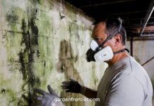 Mold Remediation Cost Calculator 2026: Pro & DIY Estimates A homeowner wearing a P100 respirator mask inspecting a moldy basement wall.