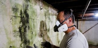 Mold Remediation Cost Calculator 2026: Pro & DIY Estimates A homeowner wearing a P100 respirator mask inspecting a moldy basement wall.