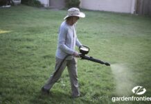 Pre-Emergent and Weed Killer: Can You Mix Them? (2026) A perfectly green, weed-free lawn next to a garden spreader applying pre-emergent and weed killer.