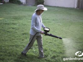Pre-Emergent and Weed Killer: Can You Mix Them? (2026) A perfectly green, weed-free lawn next to a garden spreader applying pre-emergent and weed killer.