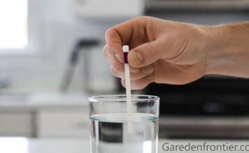 Water Hardness Test Strips: How to Read & Use Them (2026) A person dipping a water hardness test strip into a glass of tap water to check for hard water.